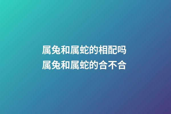 属兔和属蛇的相配吗 属兔和属蛇的合不合-第1张-观点-玄机派
